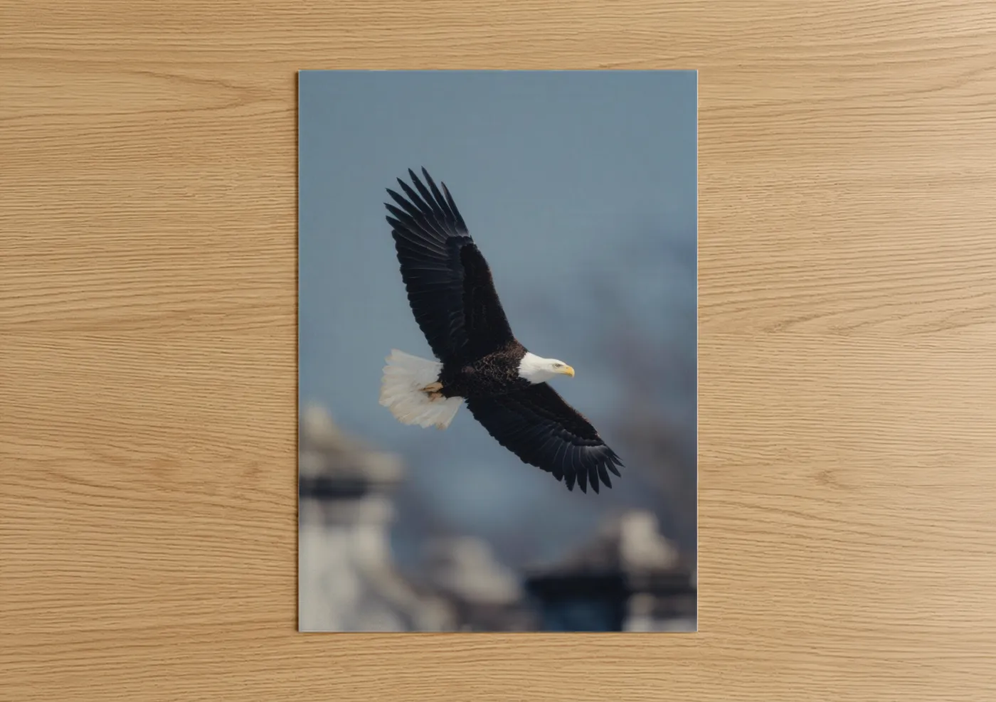 Veterans day art print on warm oak wood — blue and black and white palette — Soaring Eagle poster