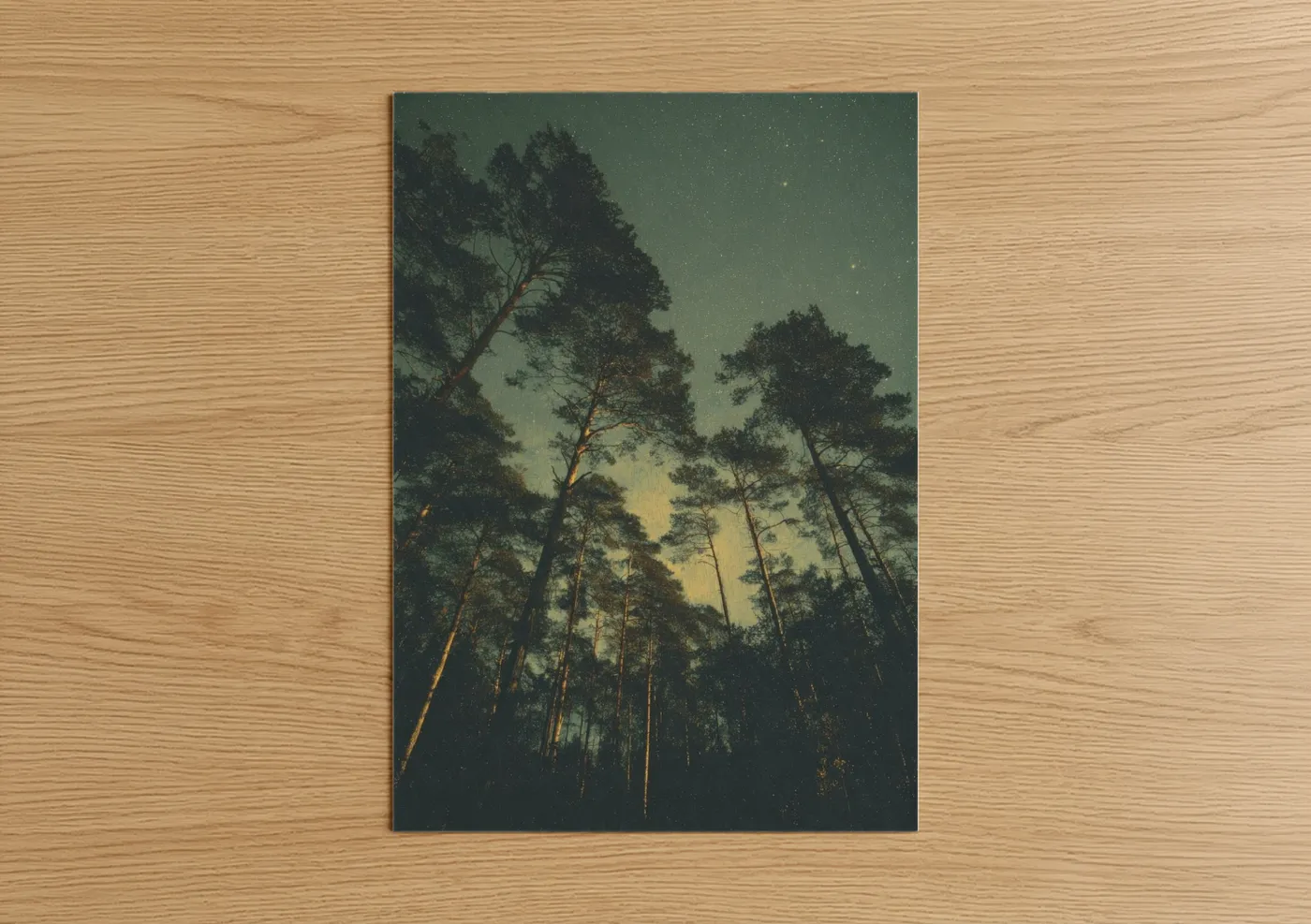 Starlit Pine Forest Night Sky Wall Art