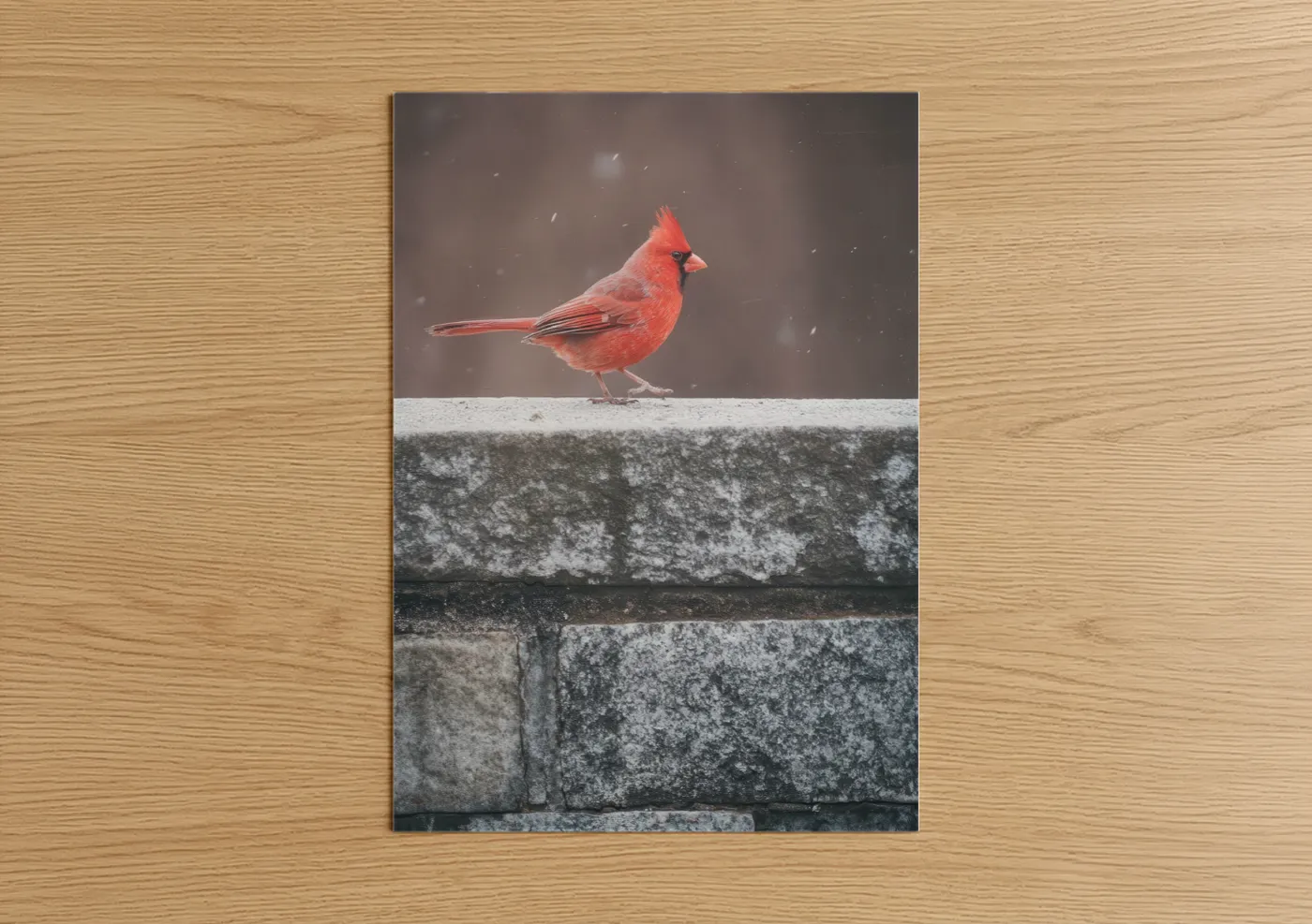 Red Cardinal Winter Snow Photography Wall Art