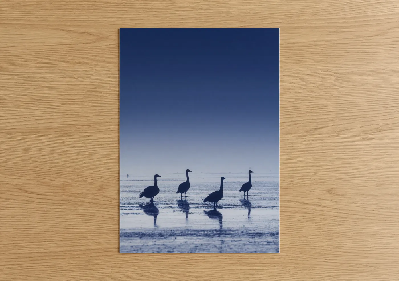 Art print on warm oak wood — blue and blue and white palette — Shoreline Swan Silhouettes poster