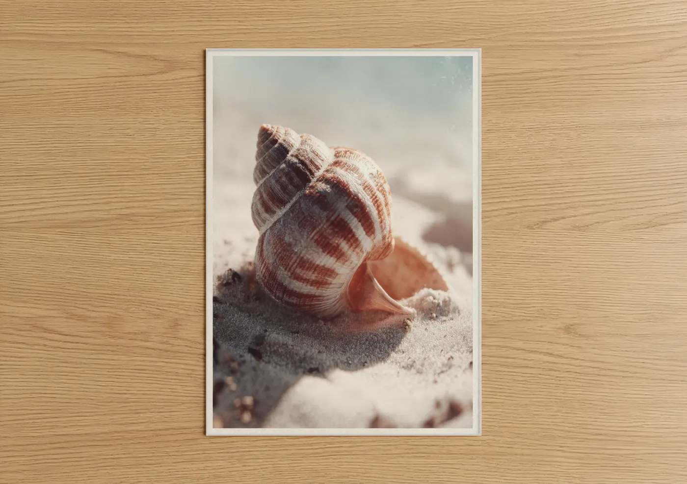 Coastal seashell beach photography Wall Art