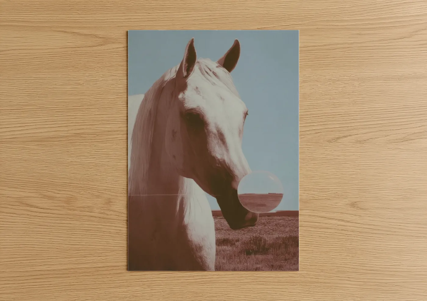 Desert Arabian Horse Pink Aesthetic Wall Art