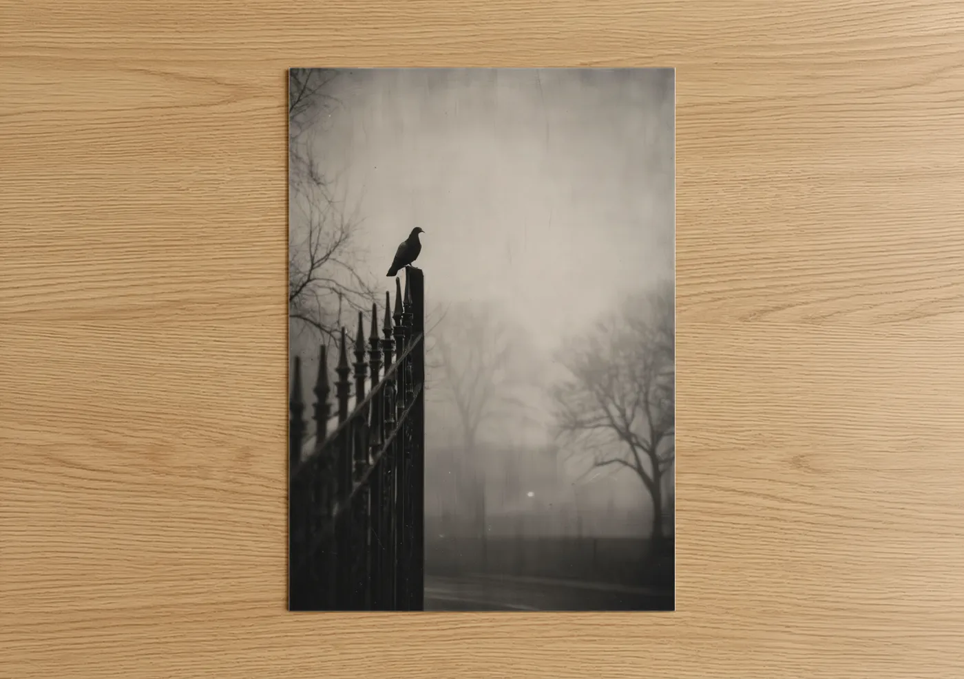 Art print on warm oak wood — black and white and dove gray palette — Solitary Dove poster