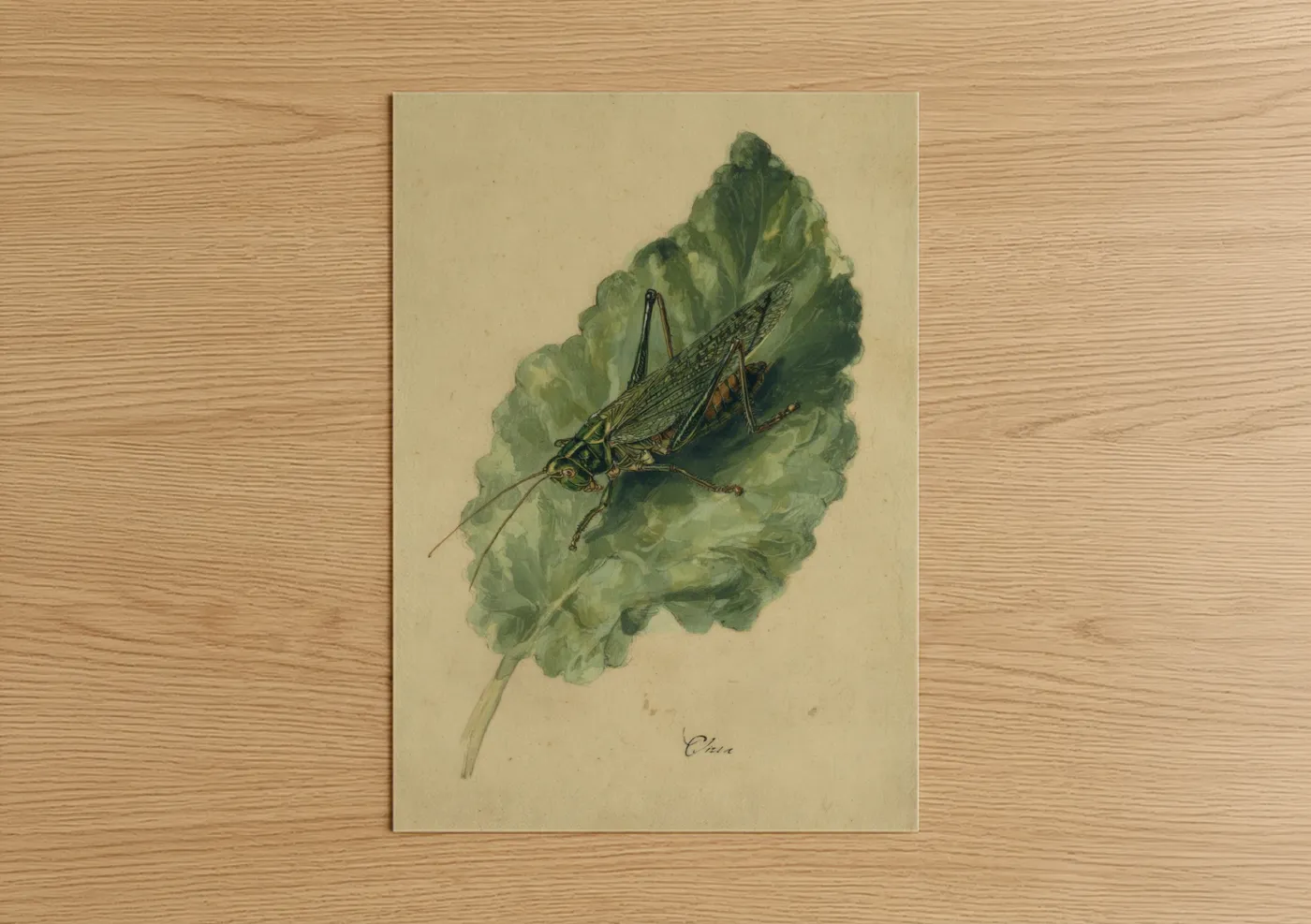 Art print on warm oak wood — light green and cream palette — Garden Grasshopper poster