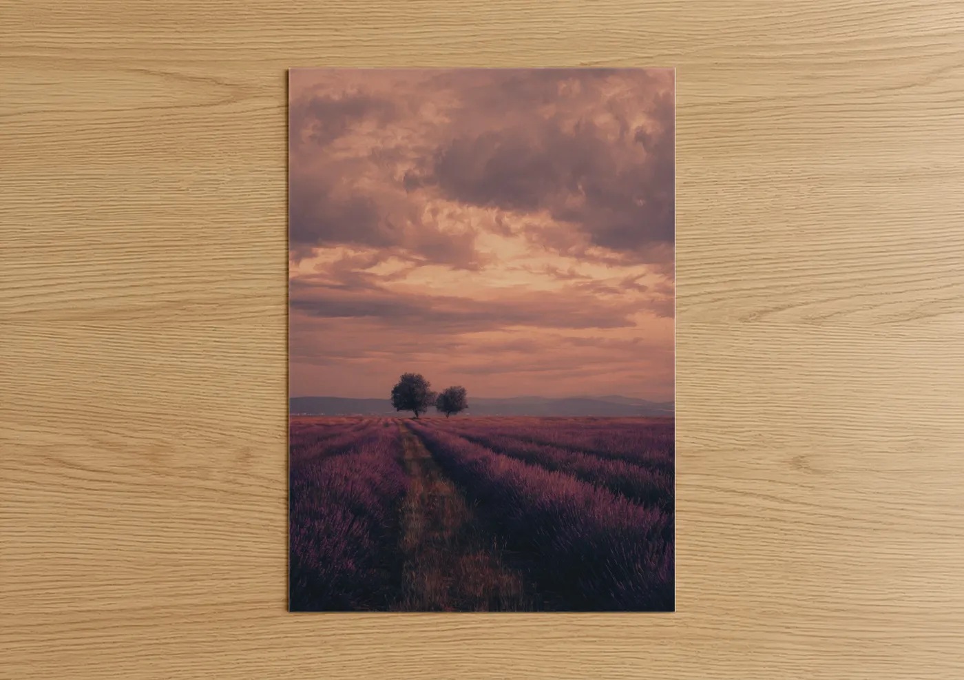 Lavender Field Sunset Landscape Wall Art