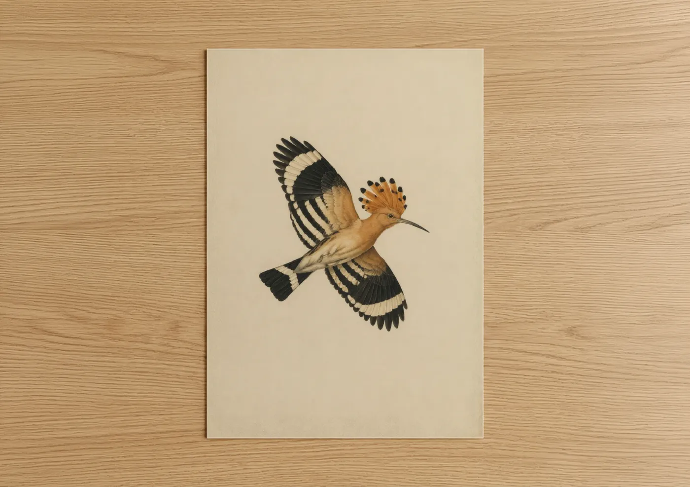 Birds art print on warm oak wood — beige and black and white palette — Hoopoe Bird in Flight Wall Art poster
