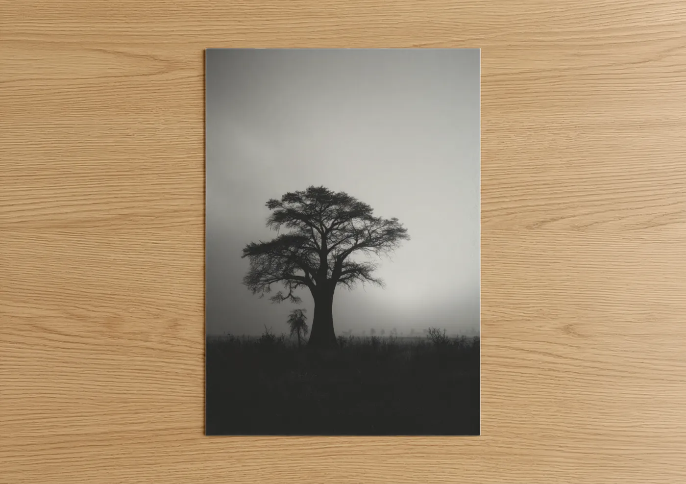Misty Baobab Tree Black and White Wall Art