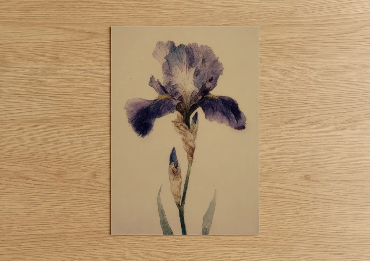 Purple Iris Watercolor Botanical Wall Art