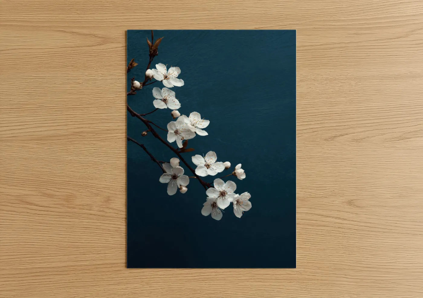 White Cherry Blossom Teal Background Wall Art