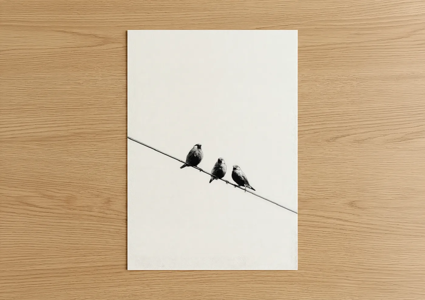 Three Birds on Wire Black White Wall Art