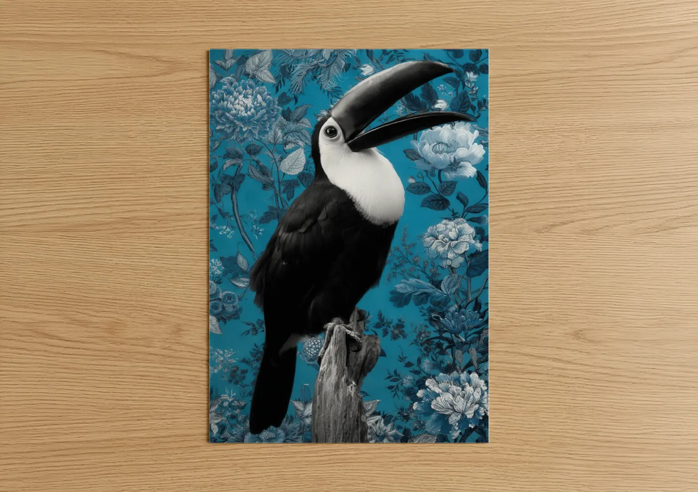 Black and White Toucan Tropical Bird Wall Art
