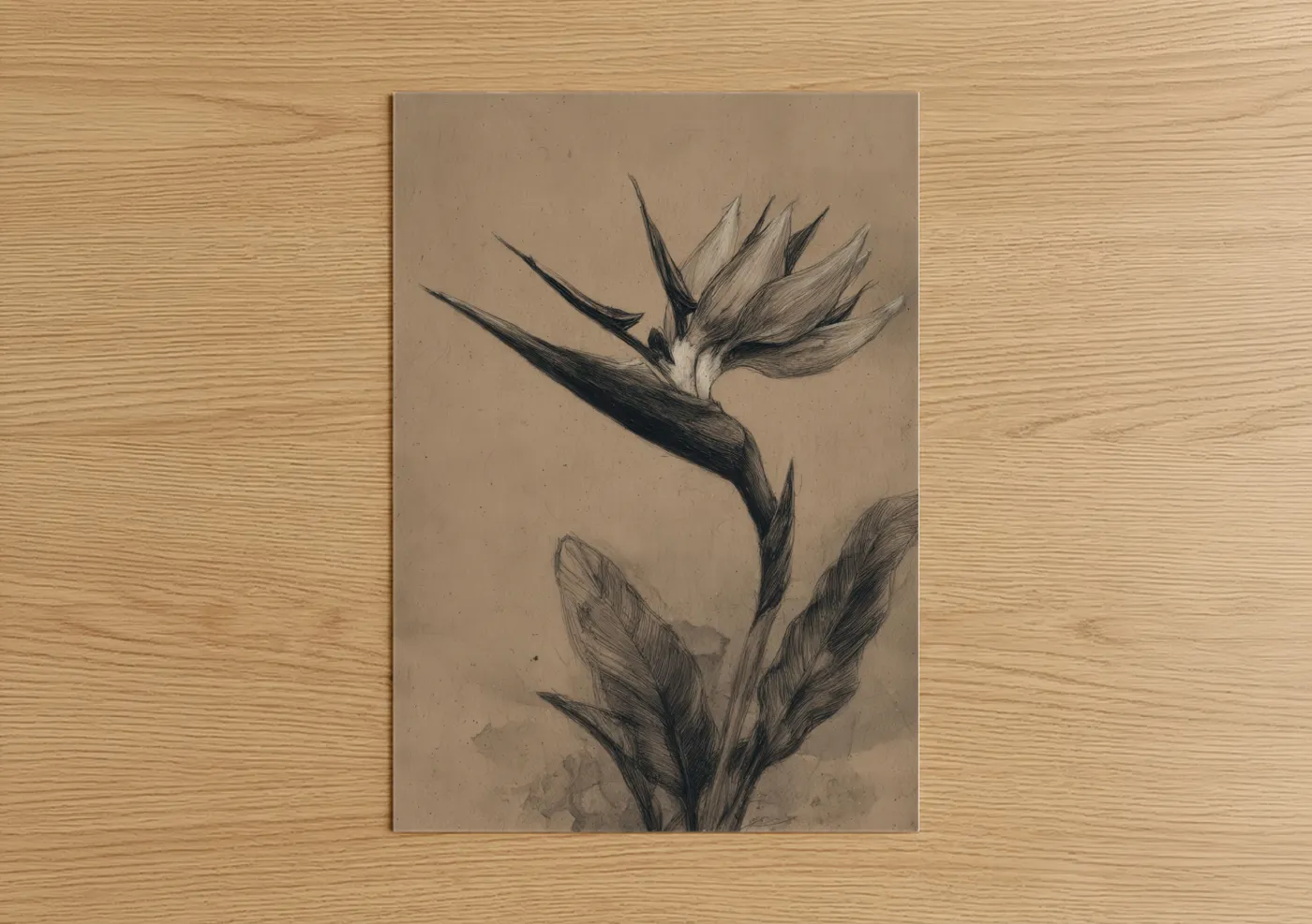 Birds of paradise art print on warm oak wood — black and white and beige palette — Elegant Bird Paradise poster