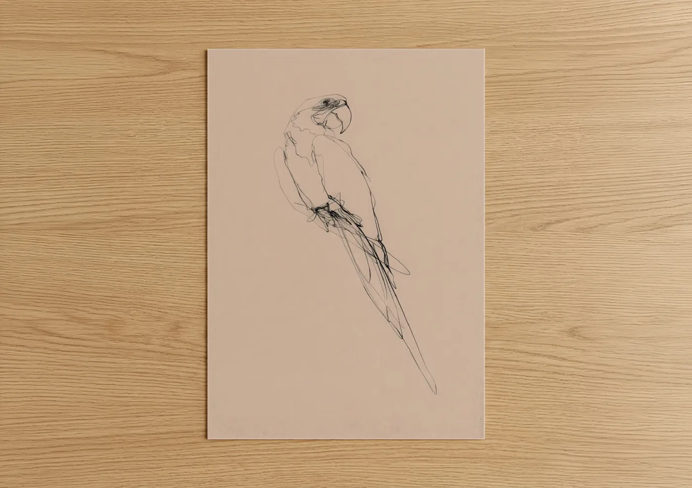 Minimalist Macaw Line Art Drawing Wall Art