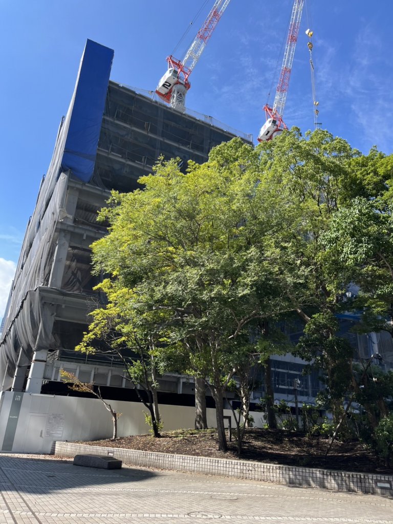(仮称)横浜市中区海岸通計画(A-1地区) 新築工事現場の全景写真（2025年9月6日撮影）