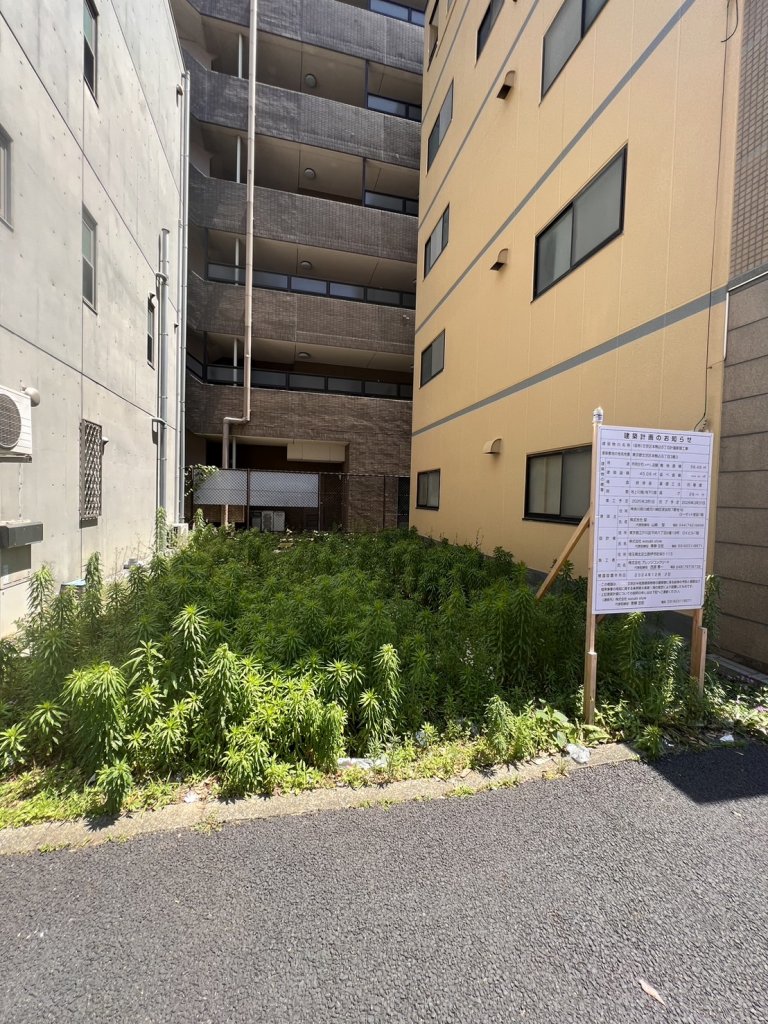 (仮称)文京区本駒込5丁目計画新築工事 新築工事現場の全景写真（2025年9月6日撮影）
