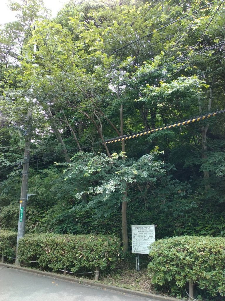 (仮称)公園案内棟/喫茶/版画工房/アート体験棟新築工事 新築工事現場の全景写真(2025年9月6日撮影)