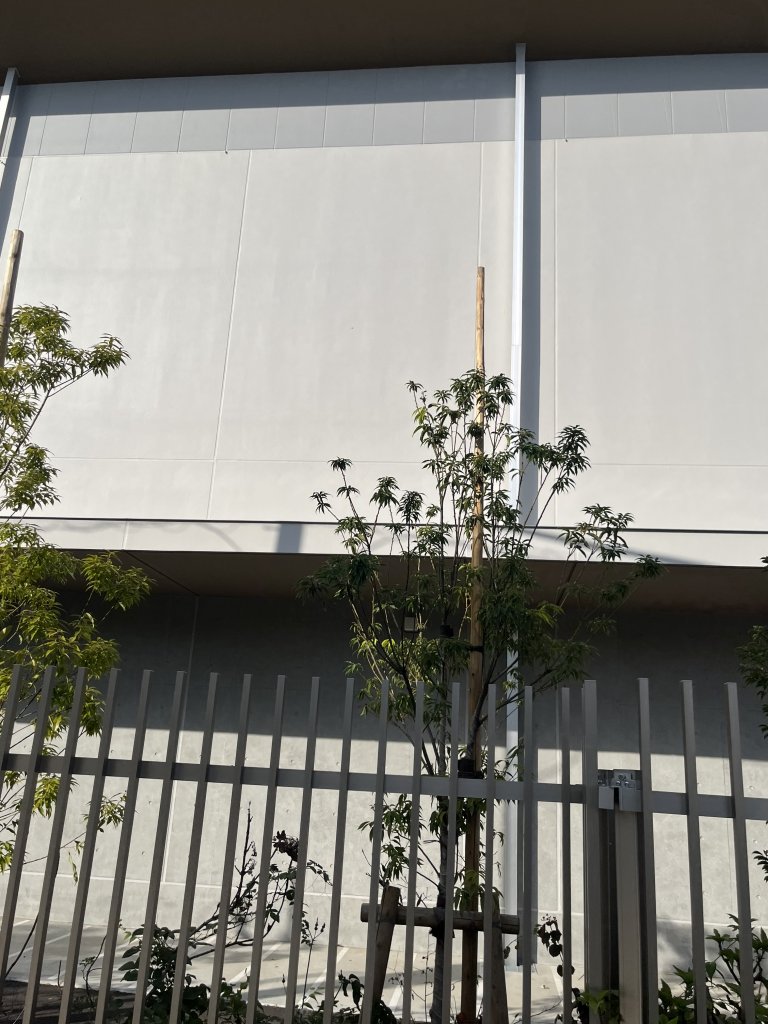 府中市立府中第三小学校 新築工事現場の全景写真（2025年12月21日撮影）