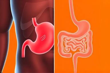 Visualizing minimized stomach discomfort with correct vitamin C intake.