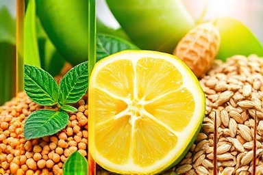 Natural ingredients for effective and personalized diet supplements.