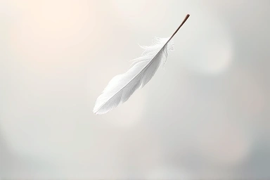 Symbol of loss and hope, delicate feather falling