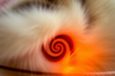 Symbolic representation of cat ear wax with dark swirls.