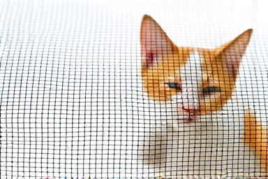Close-up of durable, fine mesh for cat safety window guards.