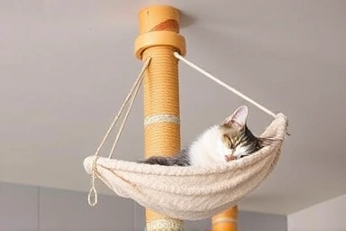 Close-up of secure cat pole with hammock, cat napping peacefully
