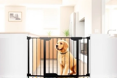 Dog safety gate preventing puppy entry into kitchen