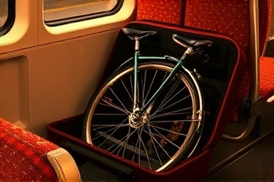 Foldable bicycle ready for KTX travel.