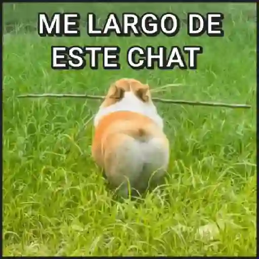 stickers_🐾⋆Perros|Dogs|Perritos🐾°
