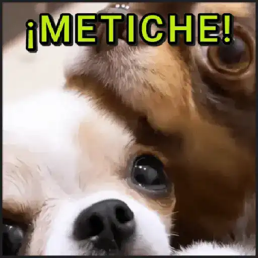 stickers_🐾⋆Perros|Dogs|Perritos🐾°