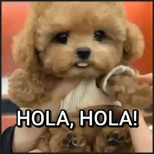 stickers_🐾⋆Perros|Dogs|Perritos🐾°
