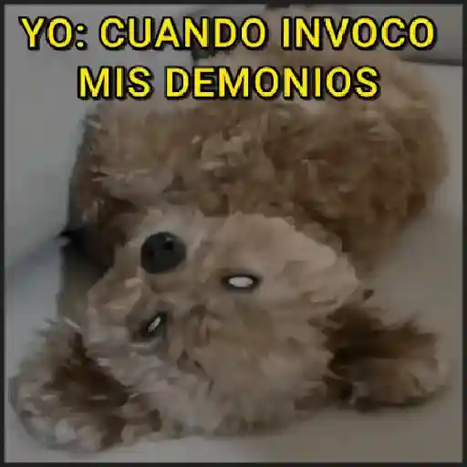 stickers_🐾⋆Perros|Dogs|Perritos🐾°