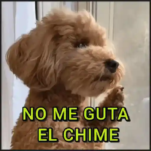 stickers_🐾⋆Perros|Dogs|Perritos🐾°