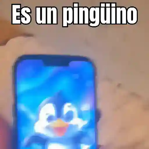 stickers_Niña_MotoPingüino_🐧🛵_TikTok