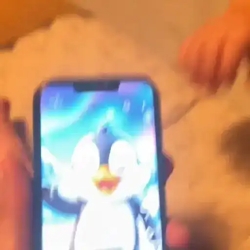 stickers_Niña_MotoPingüino_🐧🛵_TikTok