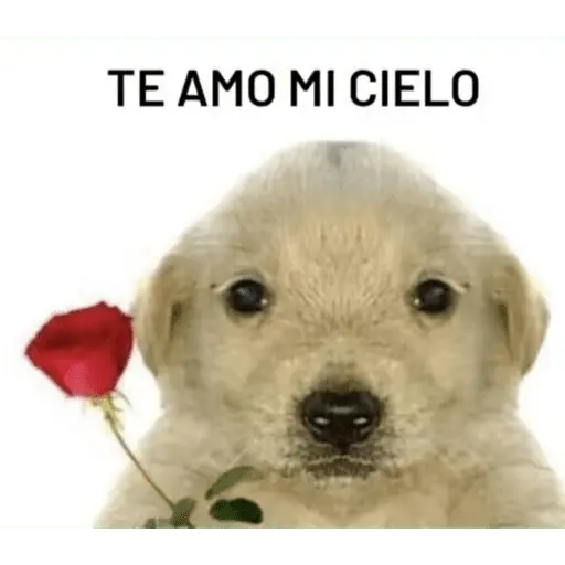 stickers_Mis_pegatinas
