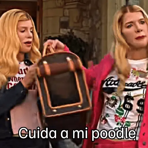 stickers_Donde_están_las_rubias?_👱🏻♀️
