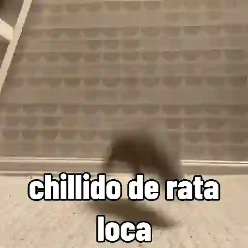 stickers_rata_triste