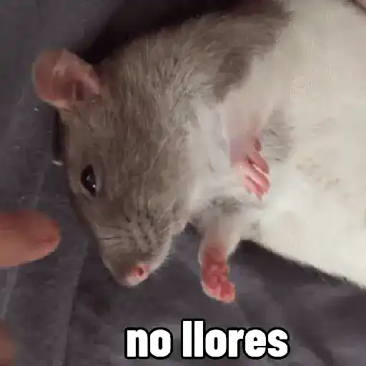 stickers_rata_triste