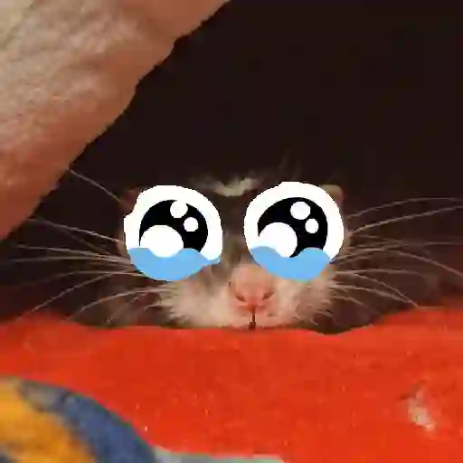 stickers_rata_triste