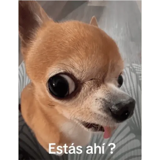 stickers_Mis_pegatinas