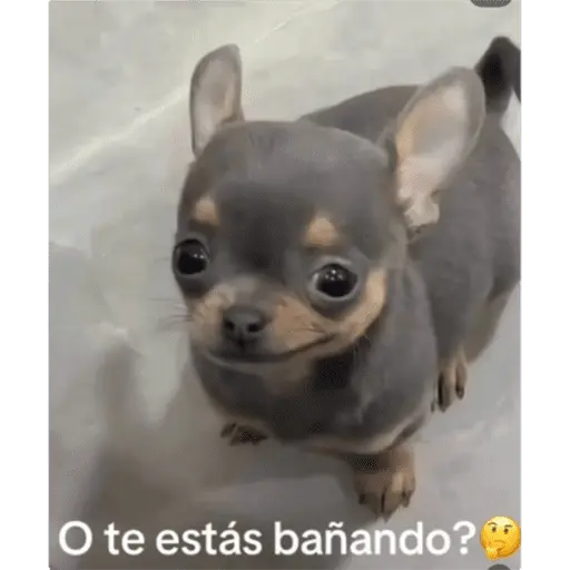 stickers_Mis_pegatinas