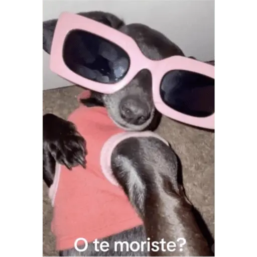 stickers_Mis_pegatinas