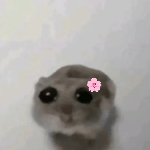stickers_hamster_triste_tiktok_