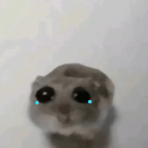 stickers_hamster_triste_tiktok_