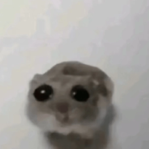 stickers_hamster_triste_tiktok_