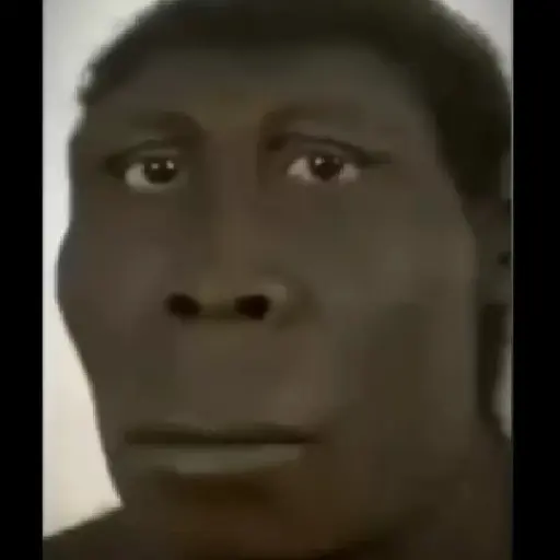 stickers_SOPANASCANJANGA_MEME