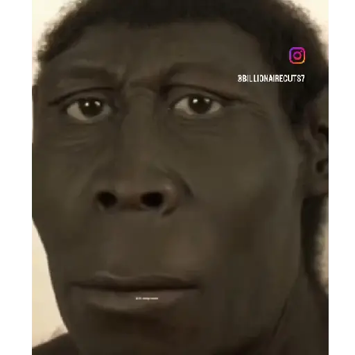 stickers_SOPANASCANJANGA_MEME