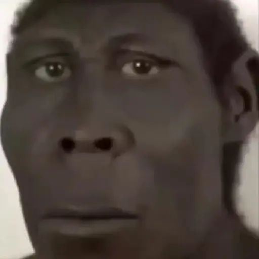 stickers_SOPANASCANJANGA_MEME